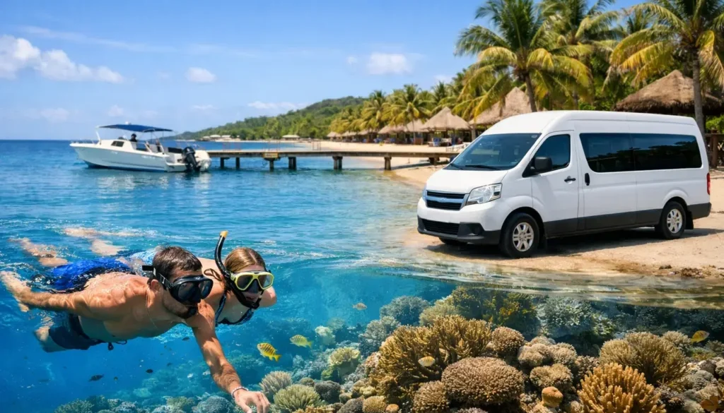 Reef Snorkeling with Transportation in Roatan