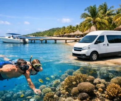 Reef Snorkeling with Transportation in Roatan
