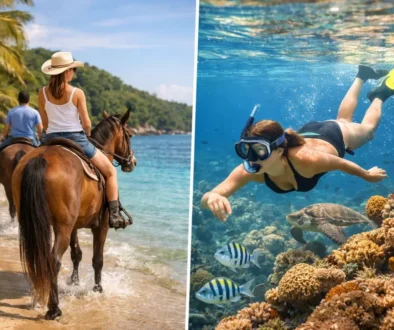 Horseback Riding vs Snorkeling in Roatan for You