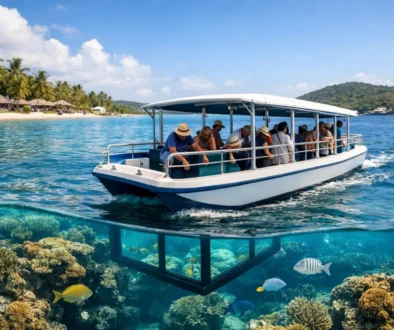 Is a Roatan Glass Bottom Boat Excursion Worth It?