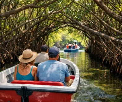 Your Roatan Mangrove Tunnel Tour Experience