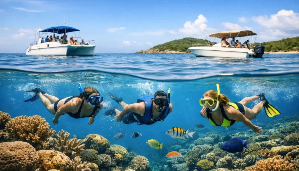 Snorkeling Tour Comparison for Roatan Visitors